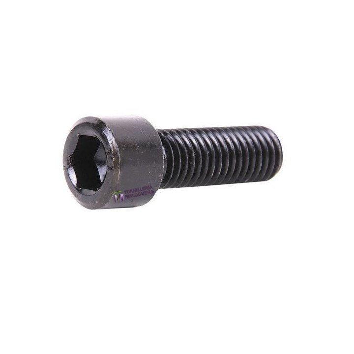 Tornillo din 912 m6x16