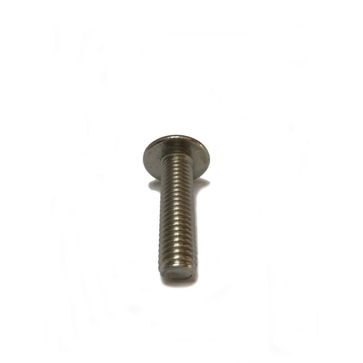 tornillo poelier m6 x 20