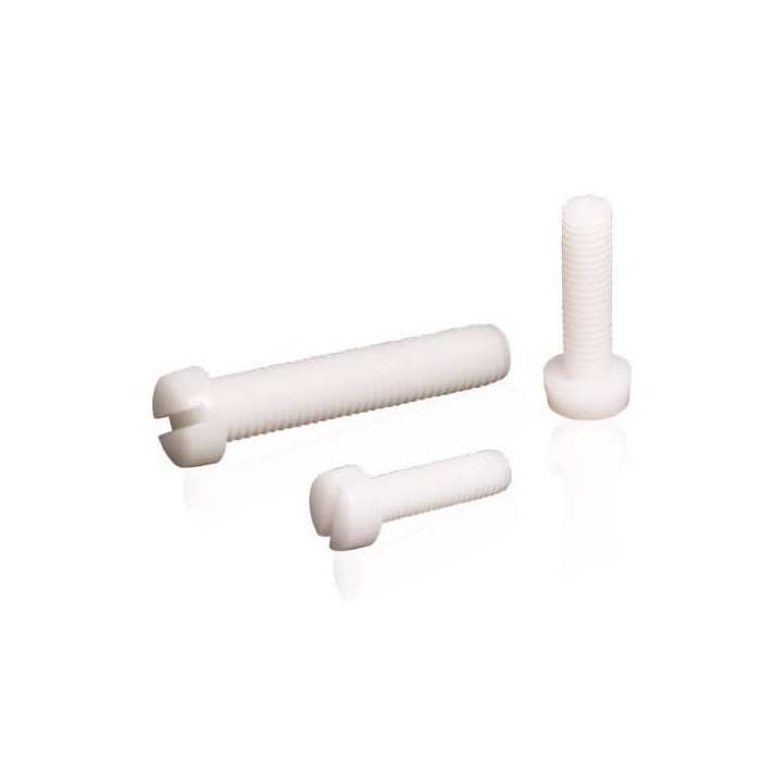 Tornillo Nylon Din 84